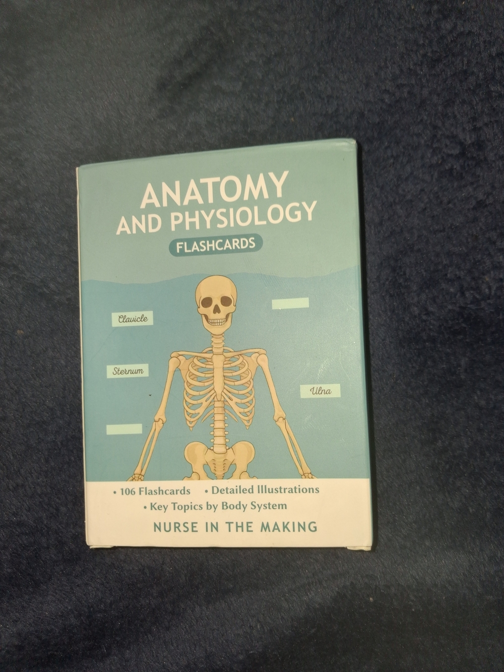 Anatomy and Physiology Flashcards by Nurse in the Making - Teal & Cream